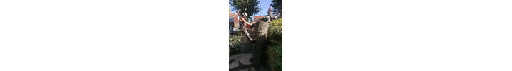 Tree removal in South Kensington, West London SW7.jpg