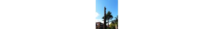 Tree surgery in Ealing, West London W5. Fell Large standind stem to ground level..jpg