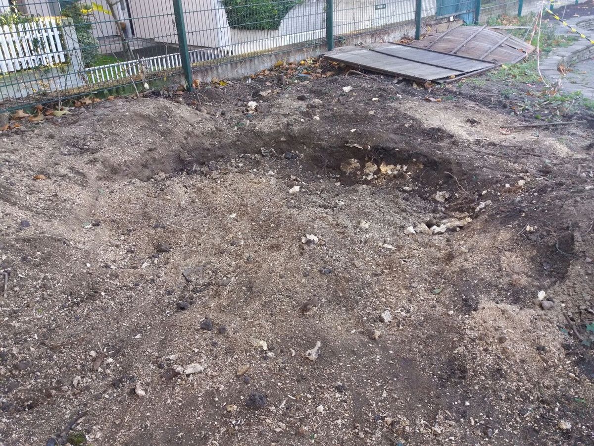 Stump Removal in Fulham, West London.jpg