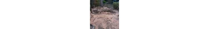 Stump removal in Wembley North West London.jpg