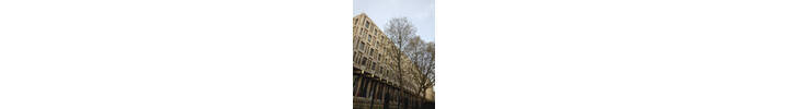 London Plane crown reduction in West London.jpg