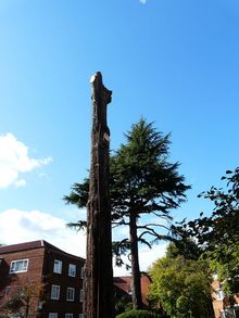 Tree surgery in Ealing, West London W5. Fell Large standind stem to ground level..jpg
