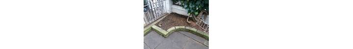 Stump Removal in Kensington West London (1).jpg