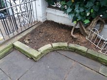Stump Removal in Kensington West London (1).jpg