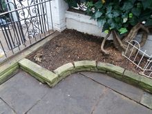 Stump Removal in Kensington West London (1).jpg Stump Removal in Kensington West London (1).jpg