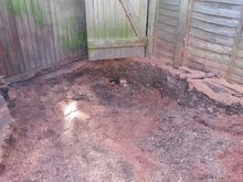 Stump Removal in Chiswick West London.jpg Stump Removal in Chiswick West London.jpg