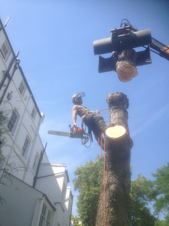 Chestnut Fell in Swiss Cottage NW3.jpg