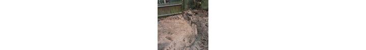Stump Removal in Barnes South West London.jpg