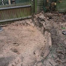 Stump Removal in Barnes South West London.jpg Stump Removal in Barnes South West London.jpg