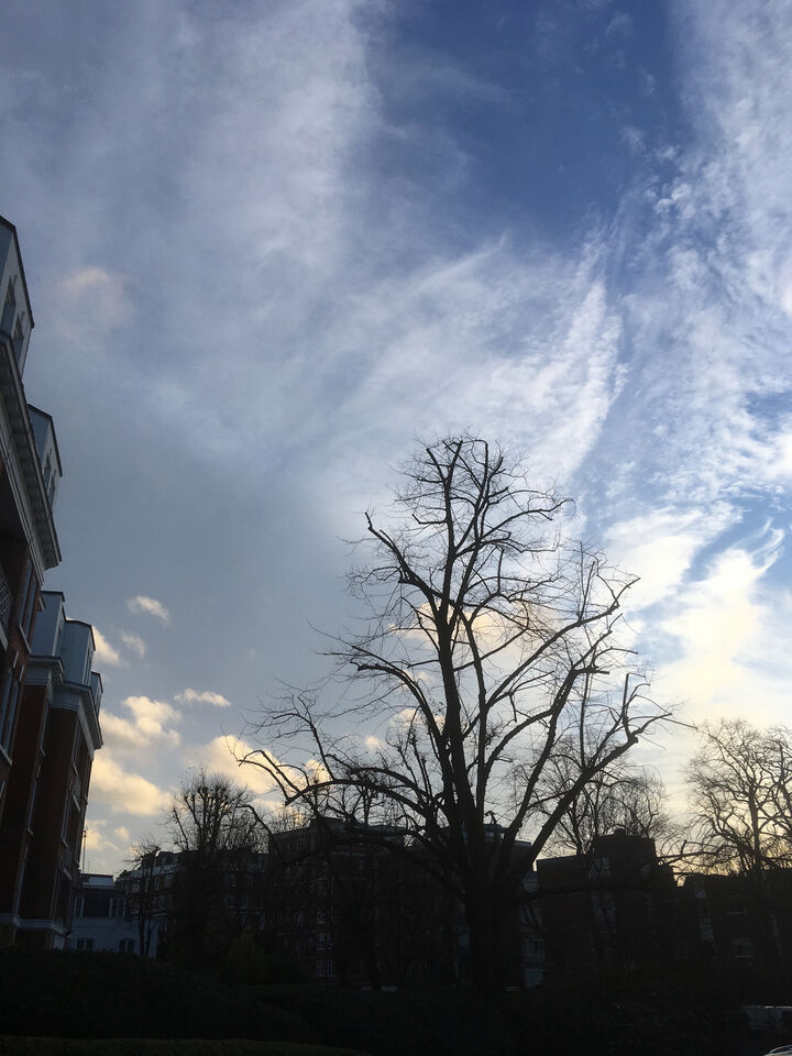 Lime 20% reduction. Grove Court NW8 9EN North West London.jpg