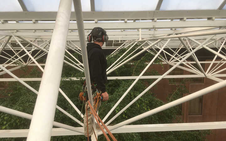Formative Pruning