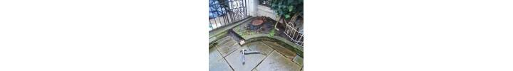 Stump Removal in Kensington West London.jpg
