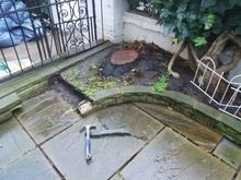 Stump Removal in Kensington West London.jpg Stump Removal in Kensington West London.jpg