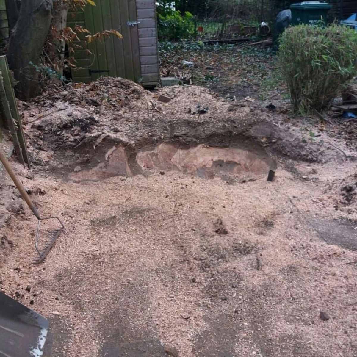 Stump removal in Wembley North West London.jpg