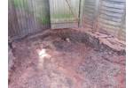 Stump Removal in Chiswick West London.jpg